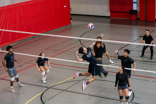 Volleyball Court